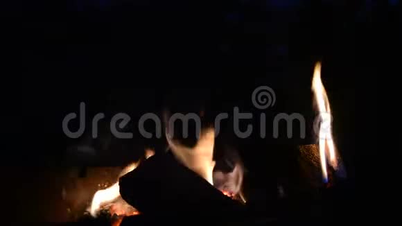 自然的火焰从火中冒出来橙色的火焰在夜晚的空地上木柴慢慢燃烧和燃烧乡村的生活视频的预览图
