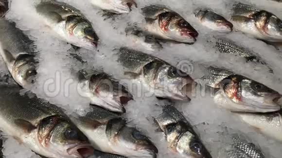 冰里的冻鱼超市的商店货架上放着许多装满冰的新鲜鱼特写镜头视频的预览图