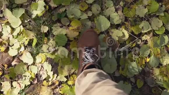 在秋天的森林里远足登上黄色落叶的徒步旅行鞋的俯视图视频的预览图