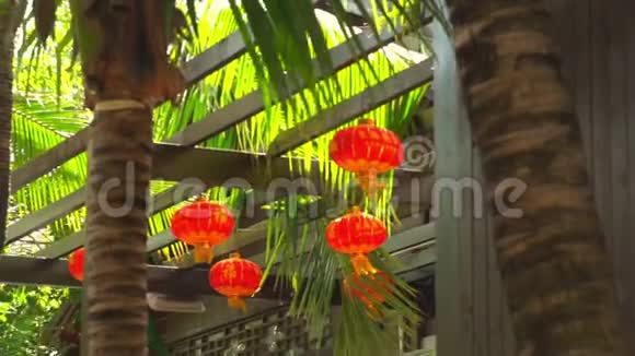 中国灯笼和棕榈树视频的预览图