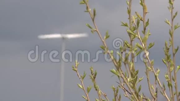 风力发电机和弹簧树枝静态调焦镜头视频的预览图