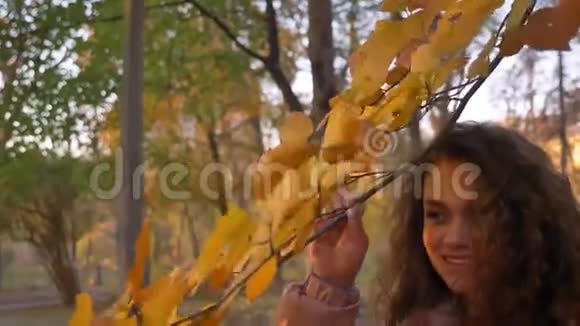 年轻的白种人卷发女人躲在黄色叶子后面的肖像在阳光明媚的秋天公园里视频的预览图
