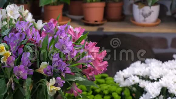 鲜花杜鹃花和花盆在货架上出售在花店特写视频的预览图