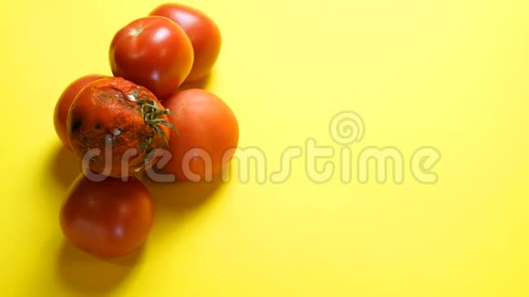 成熟的西红柿和一个腐烂的西红柿在黄色的背景人的手把烂番茄换成好的概念视频的预览图