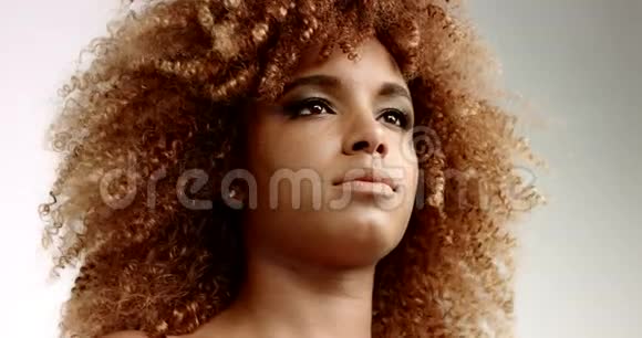 有着美丽卷发的黑人女子的特写肖像随风飘动视频的预览图