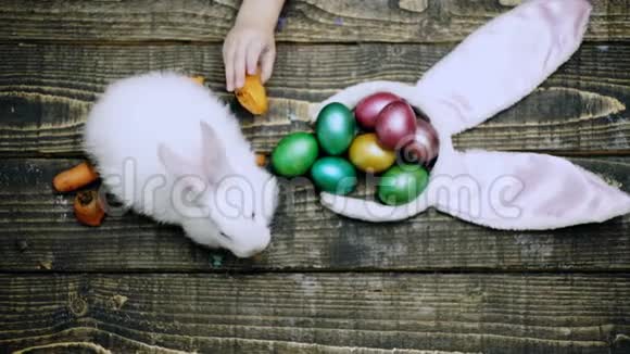 这个男孩在木桌上用胡萝卜喂养复活节兔子准备复活节庆祝活动复活节彩蛋视频的预览图