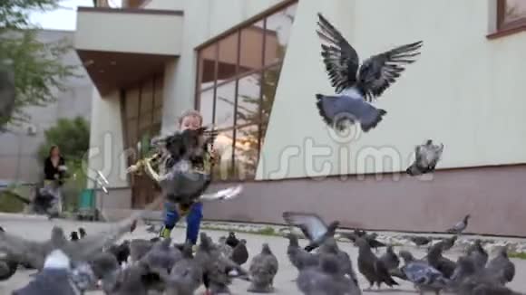 快乐的孩子追着鸟跑鸽子在后台飞着向他跑来一个小男孩幸福的概念视频的预览图