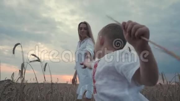 小可爱的母亲和儿子在麦田里农村自然女人喜欢和她的小男孩散步视频的预览图