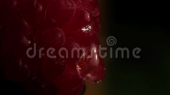 两滴露水的大树莓视频的预览图