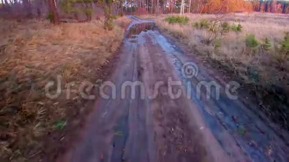 森林肮脏的道路视频的预览图