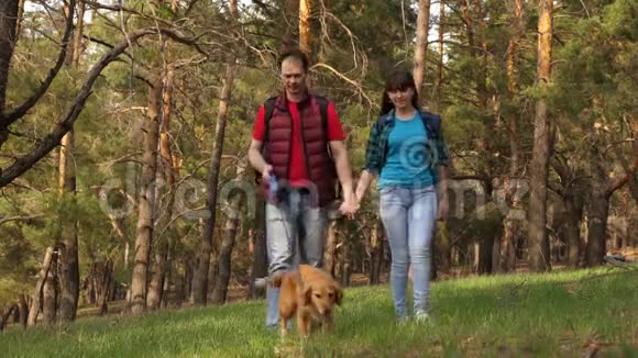 饲养员带着一只狗和一个成年女儿在散步一家人和一只狗在树林里旅行旅行者爸爸女儿视频的预览图