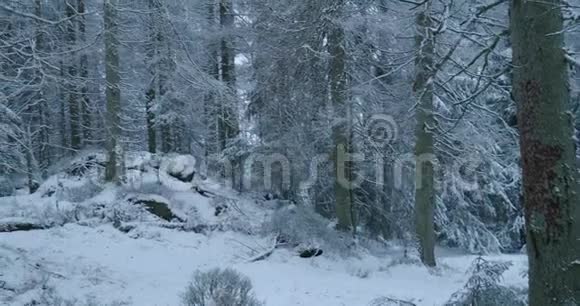 冬季带雪的山脉哈兹森林景观区奥德特伊奇全景拍摄视频的预览图