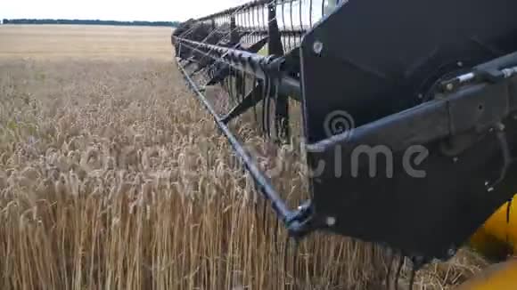 合纺割麦穗刀收割机慢慢地穿过田野收割庄稼视频的预览图