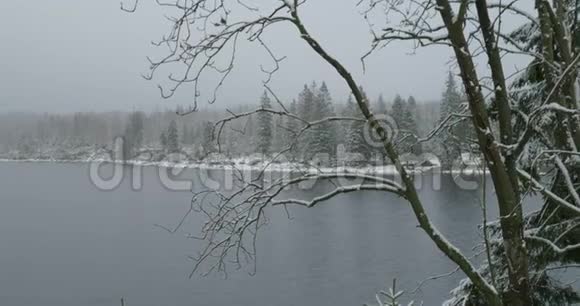 冬季带雪的山脉哈兹森林景观区奥德特伊奇湖畔拍摄视频的预览图