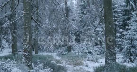 冬季山脉中有小溪和雪是阿尔兹森林景观区奥德泰希视频的预览图