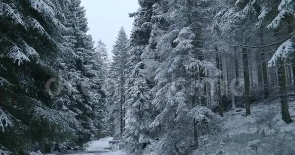 冬季带雪的山脉哈兹森林景观区奥德特伊奇全景拍摄视频的预览图