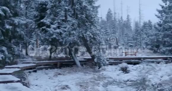 冬季带雪的山脉哈兹森林景观区奥德特伊奇湖畔拍摄视频的预览图