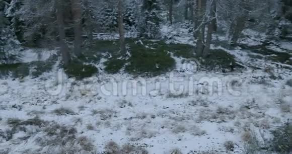 冬季山脉中有小溪和雪是阿尔兹森林景观区奥德泰希视频的预览图