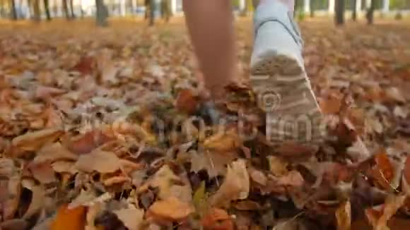漫步在秋天的公园里鞋子踩着落叶视频的预览图