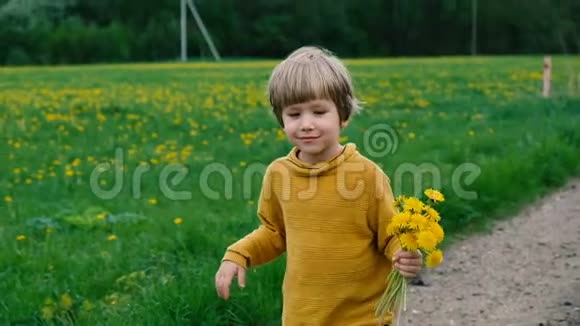 可爱的小男孩带着蒲公英散步夏天在户外视频的预览图