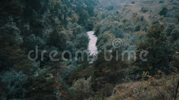 从森林中央的河景视频的预览图