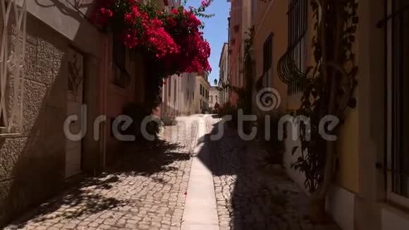 在葡萄牙卡斯卡斯的一条狭窄的街道上缓慢地淘出紫色的花视频的预览图