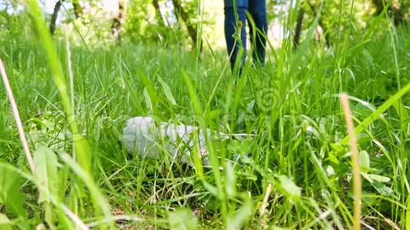 女活动家捡起一个躺在绿草上的塑料瓶环境保护垃圾处理视频的预览图