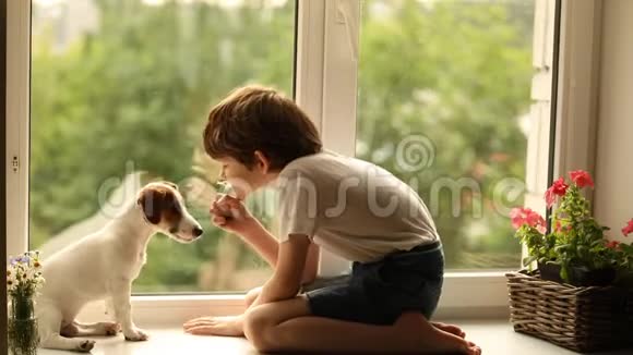 孩子在窗户上和他的狗朋友玩视频的预览图
