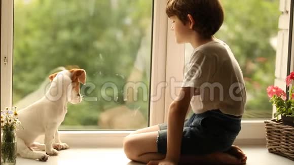 孩子在窗户上和他的狗朋友玩视频的预览图