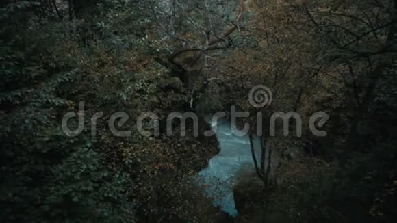 从森林中央的河景视频的预览图