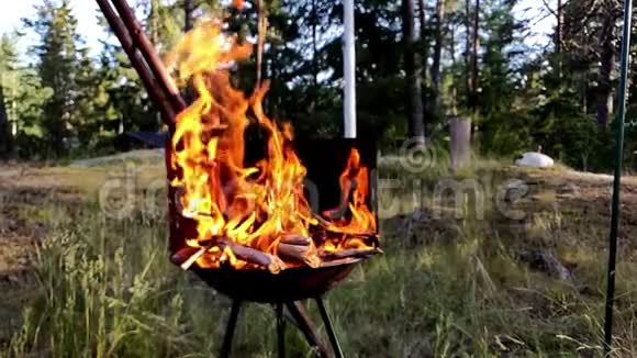 在瑞典的夏季干燥的木木原木被烧在一个野蛮的容器中的丛林中视频的预览图