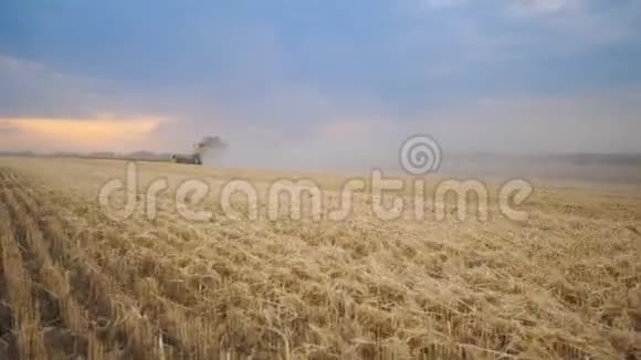 谷物收割机在成熟小麦的田间收割骑着马穿过乡村留下尘土视频的预览图