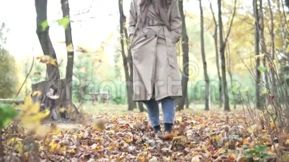 女人在秋天的森林里散步视频的预览图