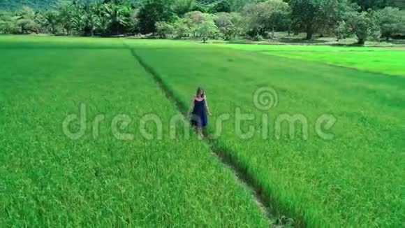 4飞机无人机拍摄的菲律宾厄尔尼诺现象中一个穿着蓝色裙子的金发女孩走在稻田里视频的预览图