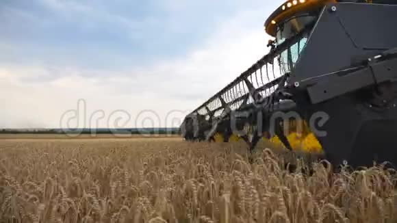 农村成熟小麦集中作物的现代低观收割机慢慢地穿过田野切割视频的预览图