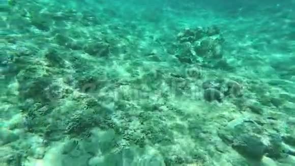 破海波的水下景观视频的预览图