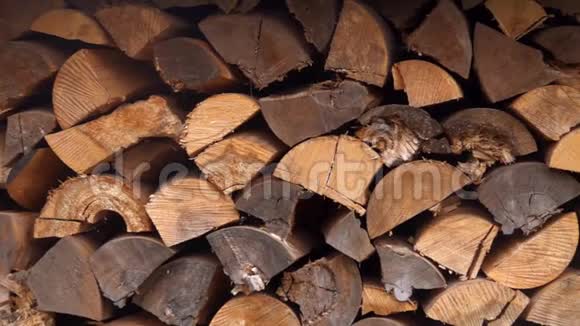 干切碎柴堆原木视频的预览图