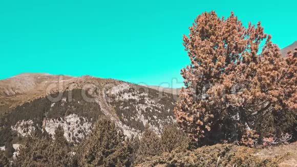 高山西班牙比利牛斯山的ValldeNuria山谷泰尔和橙色景观视频的预览图
