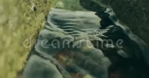 两块石头之间的小溪宏观视野红色摄像机拍摄视频的预览图