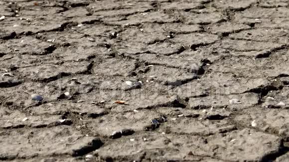 库亚尔尼克河口上部的一个泥泞的底部有干泥和泥浆特写乌克兰库亚尔尼克河口视频的预览图