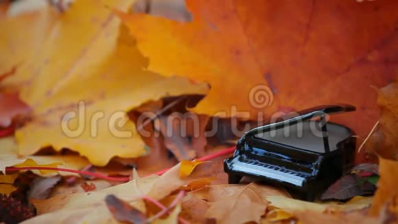 钢琴秋林枫叶背景视频的预览图