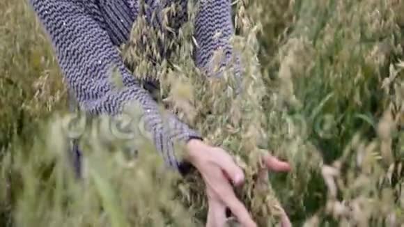 雌性的手轻轻地抓着燕麦的耳朵放出来阴天慢动作视频的预览图