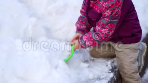 幼儿跪在雪地里挖视频的预览图