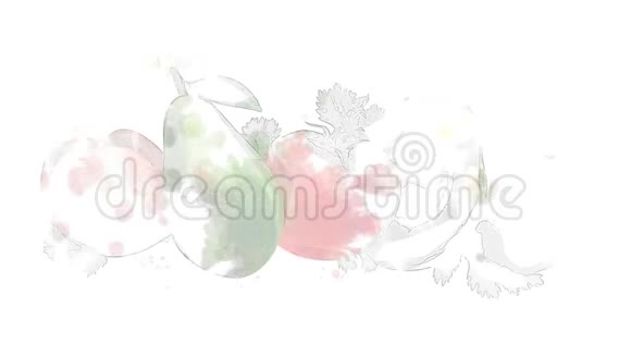 水彩外观动画的鳄梨和番茄在阿尔法频道视频的预览图
