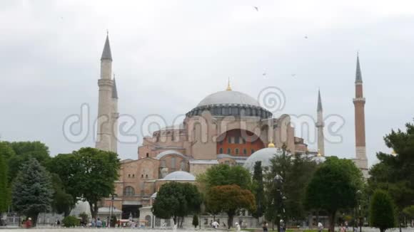 在土耳其伊斯坦布尔的圣索菲亚海鸥飞过各种宗教的历史殿堂视频的预览图