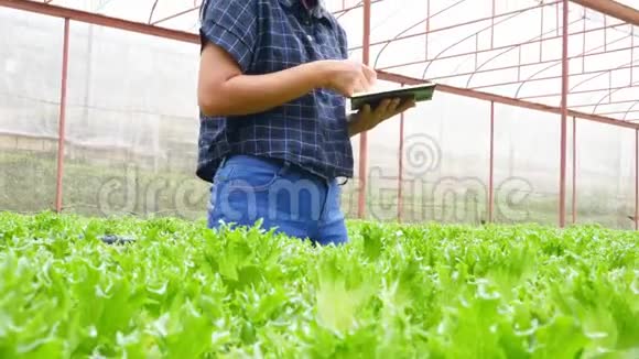 亚洲女园丁用笔记本电脑在温室工作考察水培菜地的新鲜有机蔬菜视频的预览图