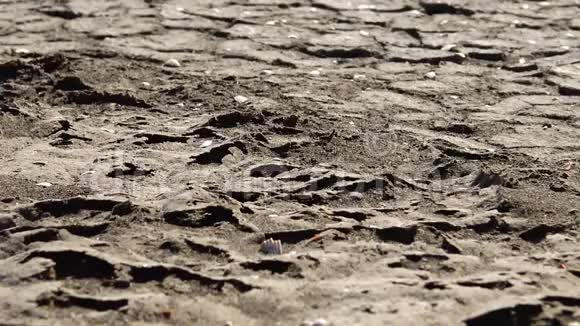 库亚尔尼克河口上部的一个泥泞的底部有干泥和泥浆特写乌克兰库亚尔尼克河口视频的预览图