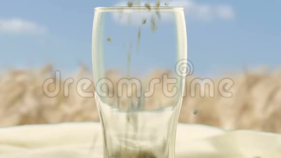 特写玻璃杯中装满了大麦麦芽和小麦用于制作工艺啤酒和酒精威士忌有机和自然视频的预览图