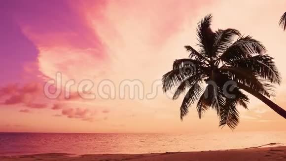 大自然热带日落海滩红天橘云掌树过海印度洋岛屿海滩日落海景视频的预览图