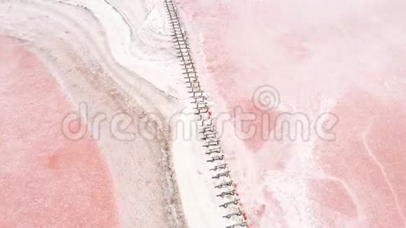 野生自然美景粉红湖水白干盐视频的预览图